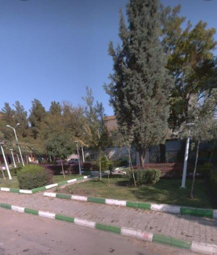 عکس فضای سبز سنبل