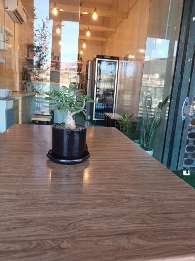 عکس کافه چینو