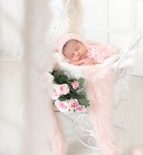 عکس آتلیه تخصصی نیکی