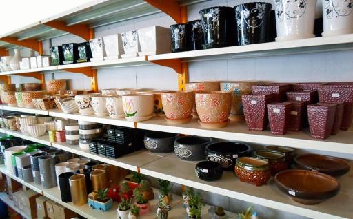 عکس تولید گل و گیاه اردیبهشت