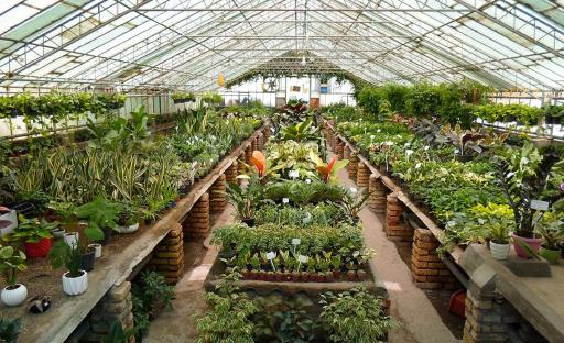 عکس تولید گل و گیاه اردیبهشت