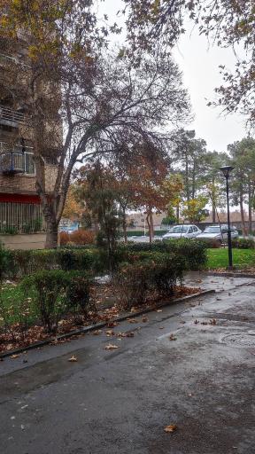 پارک ششصد دستگاه