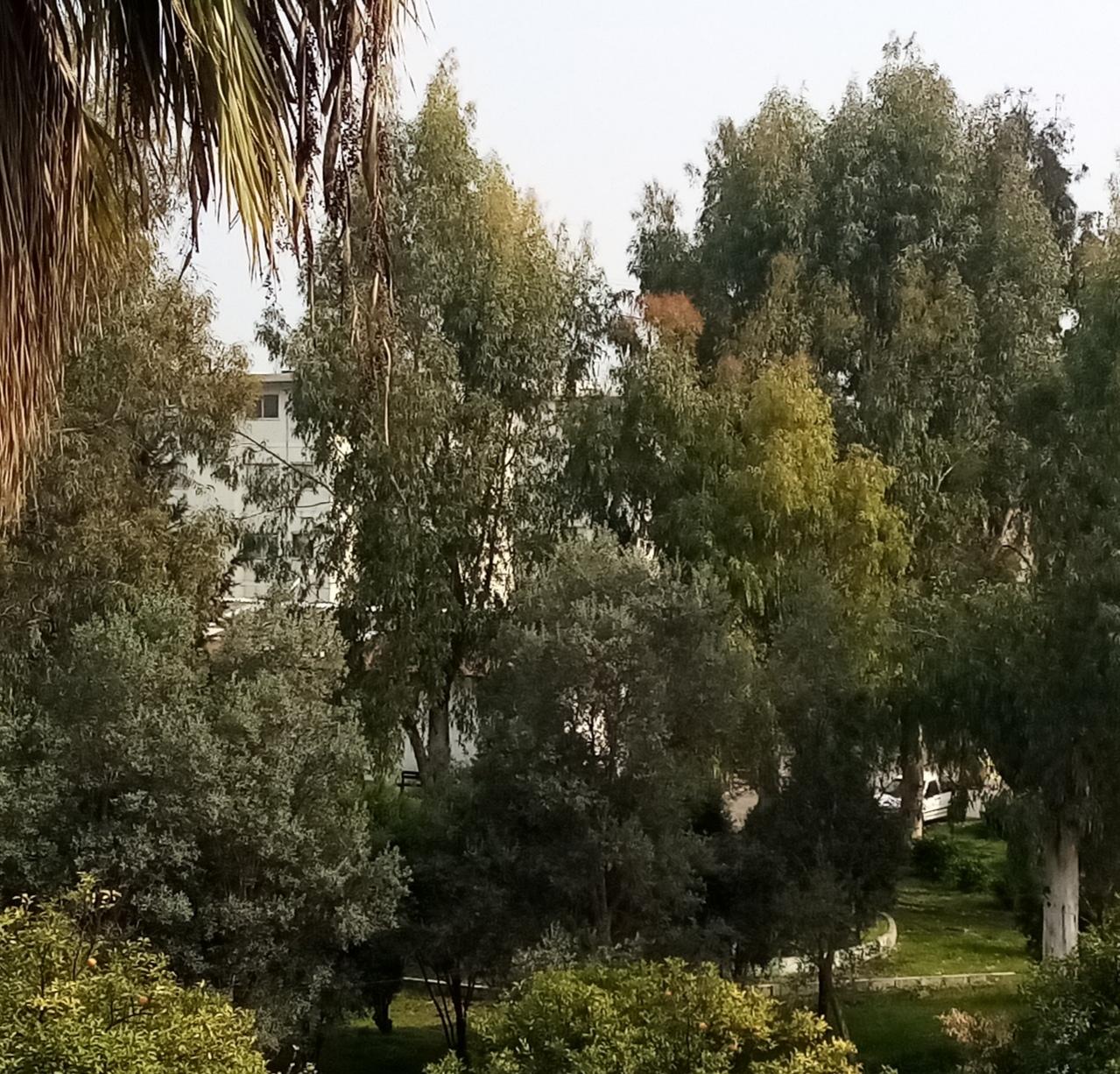 عکس پارک ششصد دستگاه