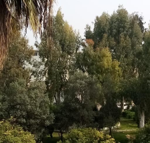 عکس پارک ششصد دستگاه