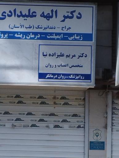 عکس دکتر مریم علیزاده نیا متخصص  اعصاب و روان