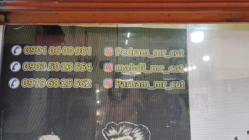 عکس مستر کات پدرام