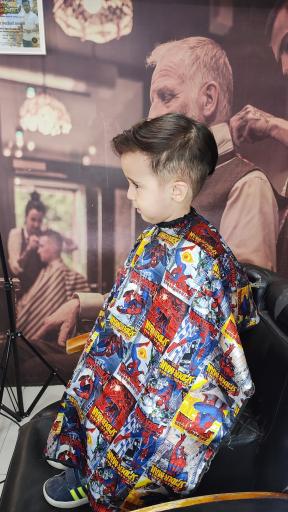 عکس مستر کات پدرام