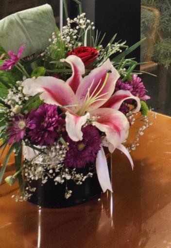 عکس گل آرمونیا