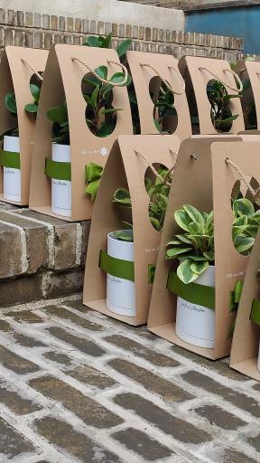 عکس گلخانه گل و مُل