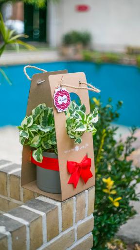 عکس گلخانه گل و مُل