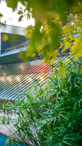 عکس گلخانه گل و مُل