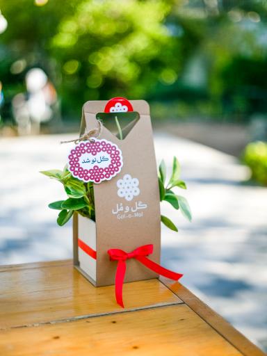 عکس گلخانه گل و مُل