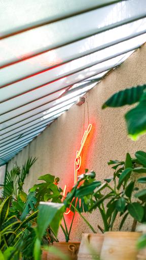 عکس گلخانه گل و مُل