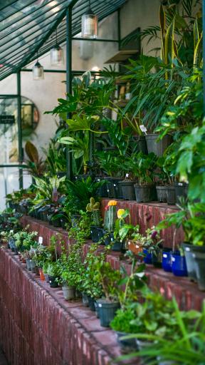 عکس گلخانه گل و مُل