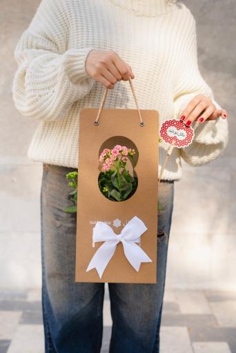 عکس گلخانه گل و مُل