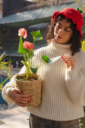 عکس گلخانه گل و مُل