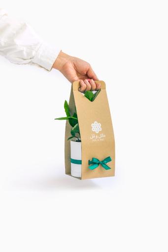 عکس گلخانه گل و مُل