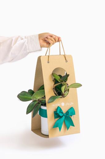 عکس گلخانه گل و مُل