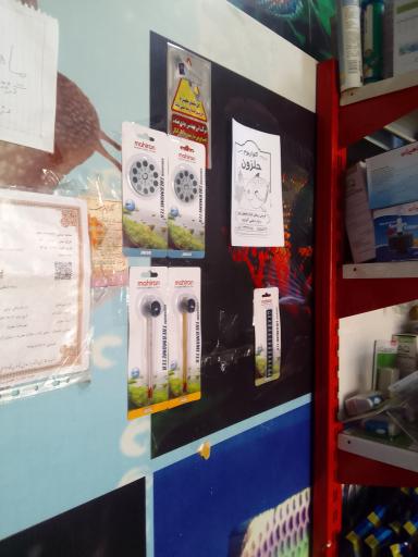 عکس آکواریوم حلزون