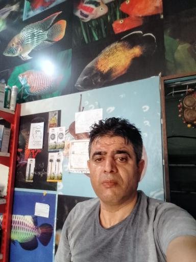 عکس آکواریوم حلزون