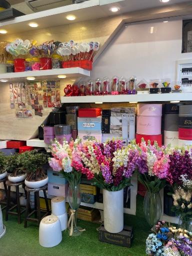 عکس بوستان گل عروس