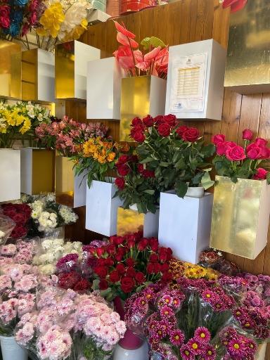 عکس بوستان گل عروس