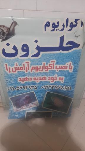 عکس آکواریوم حلزون