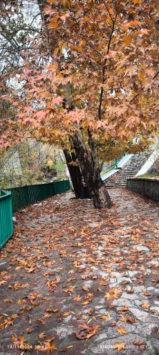 عکس بوستان تندرستی(ساسان)