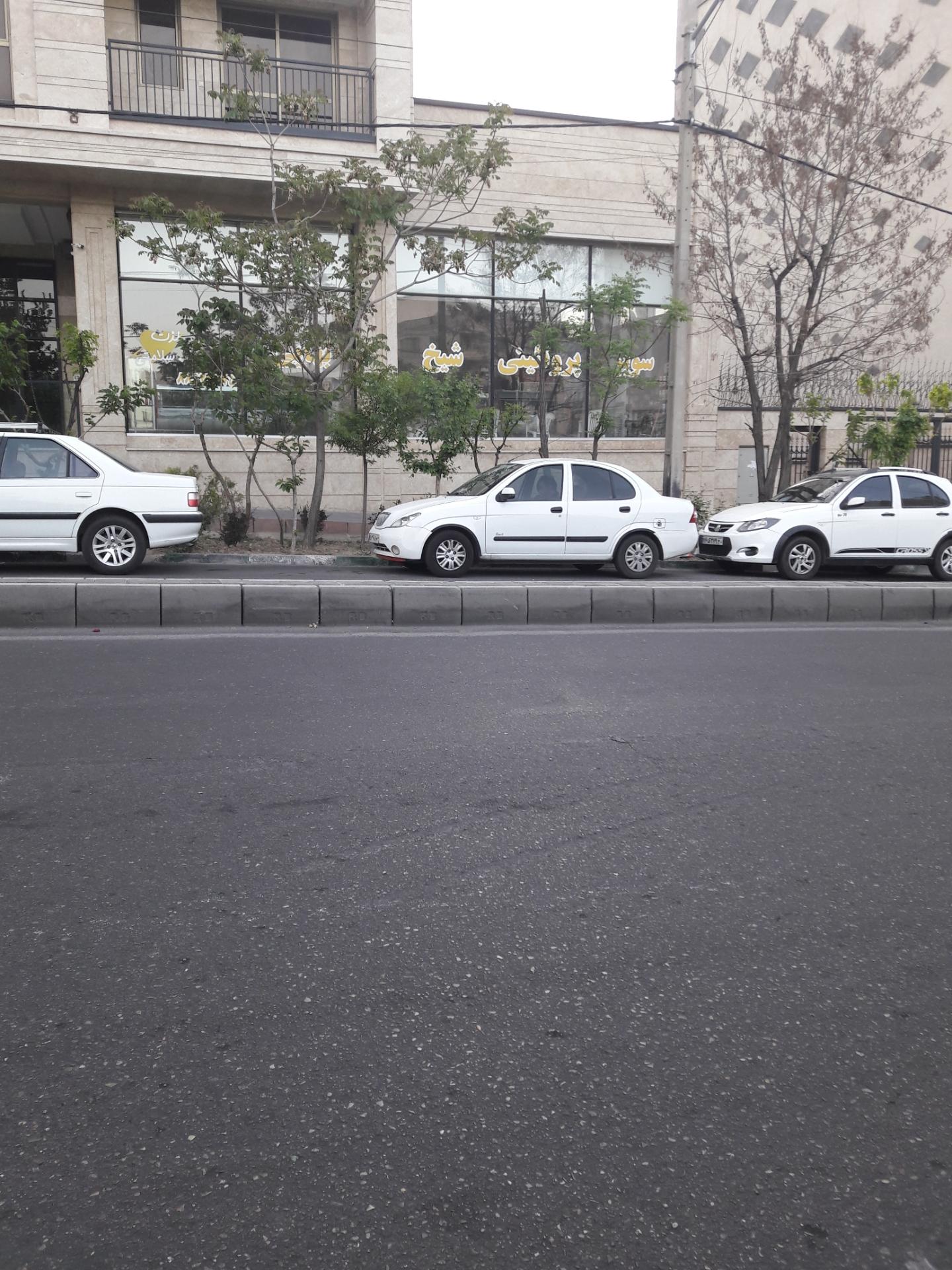 عکس سوپر پروتئینی شیخ بهایی