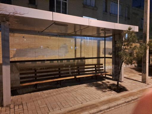 عکس  استاد یوسفی 29