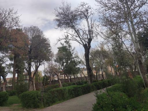 عکس بوستان شقایق