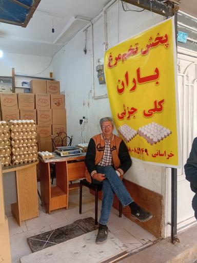 عکس پخش تخم مرغ باران
