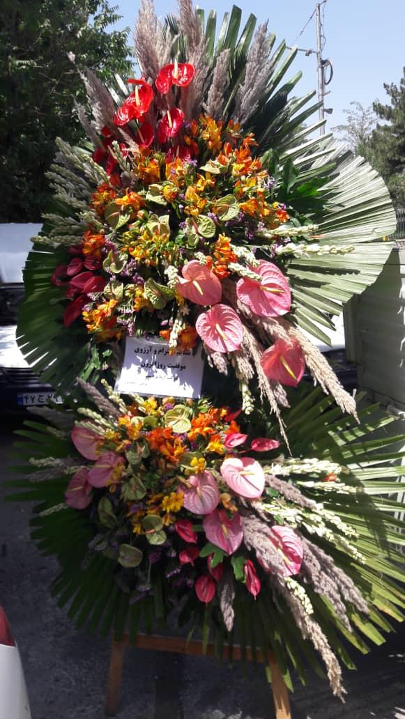 عکس آقای گل شعبه ۲