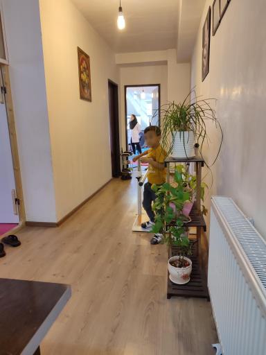 عکس توانبخشی و کاردرمانی رویش تبریز 