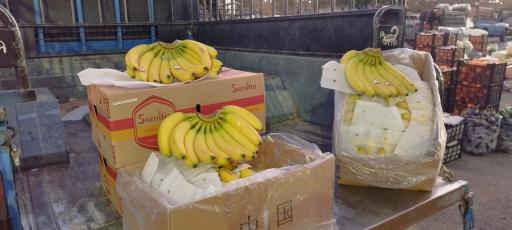 عکس بار فروشی حاج نعمت اله شعبانی و پسران 