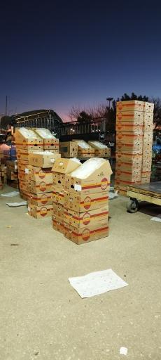 عکس بار فروشی حاج نعمت اله شعبانی و پسران 