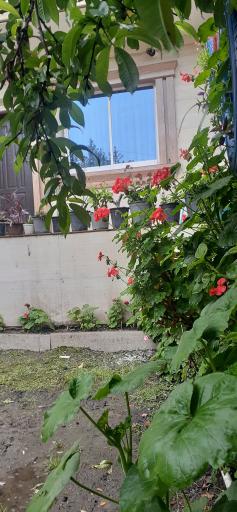 عکس ویلا پرویز شریفی