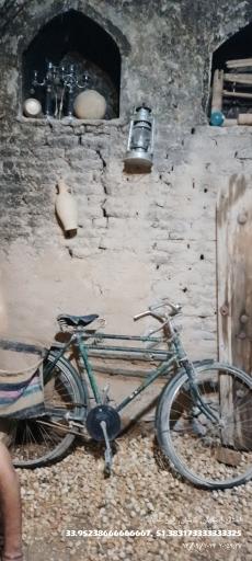 عکس جگرکی کافه جگر دربند