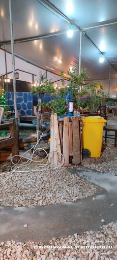 عکس جگرکی کافه جگر دربند