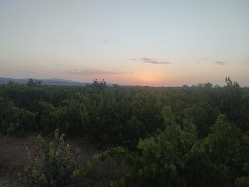 عکس حسامی