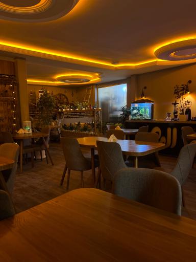 عکس کافه الی