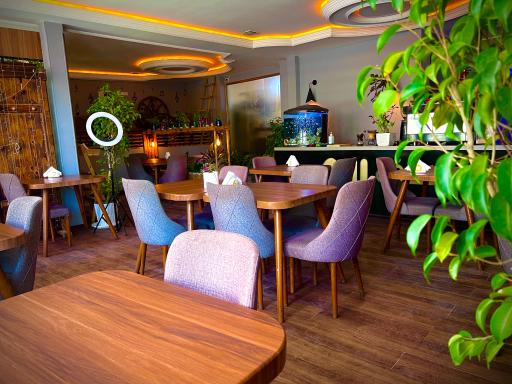 عکس کافه الی