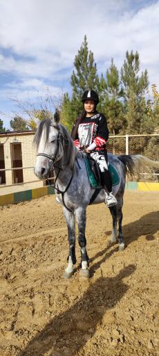 عکس مرکز پرورش اسب و سوارکاری سوران