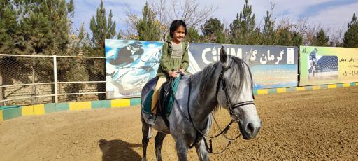 عکس مرکز پرورش اسب و سوارکاری سوران