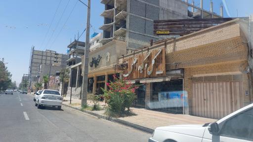 عکس گل و گیاه اطلسی 