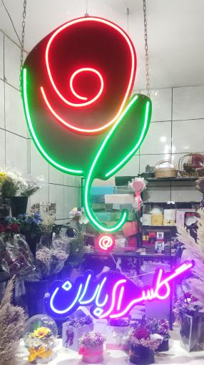 عکس گل سرای باران