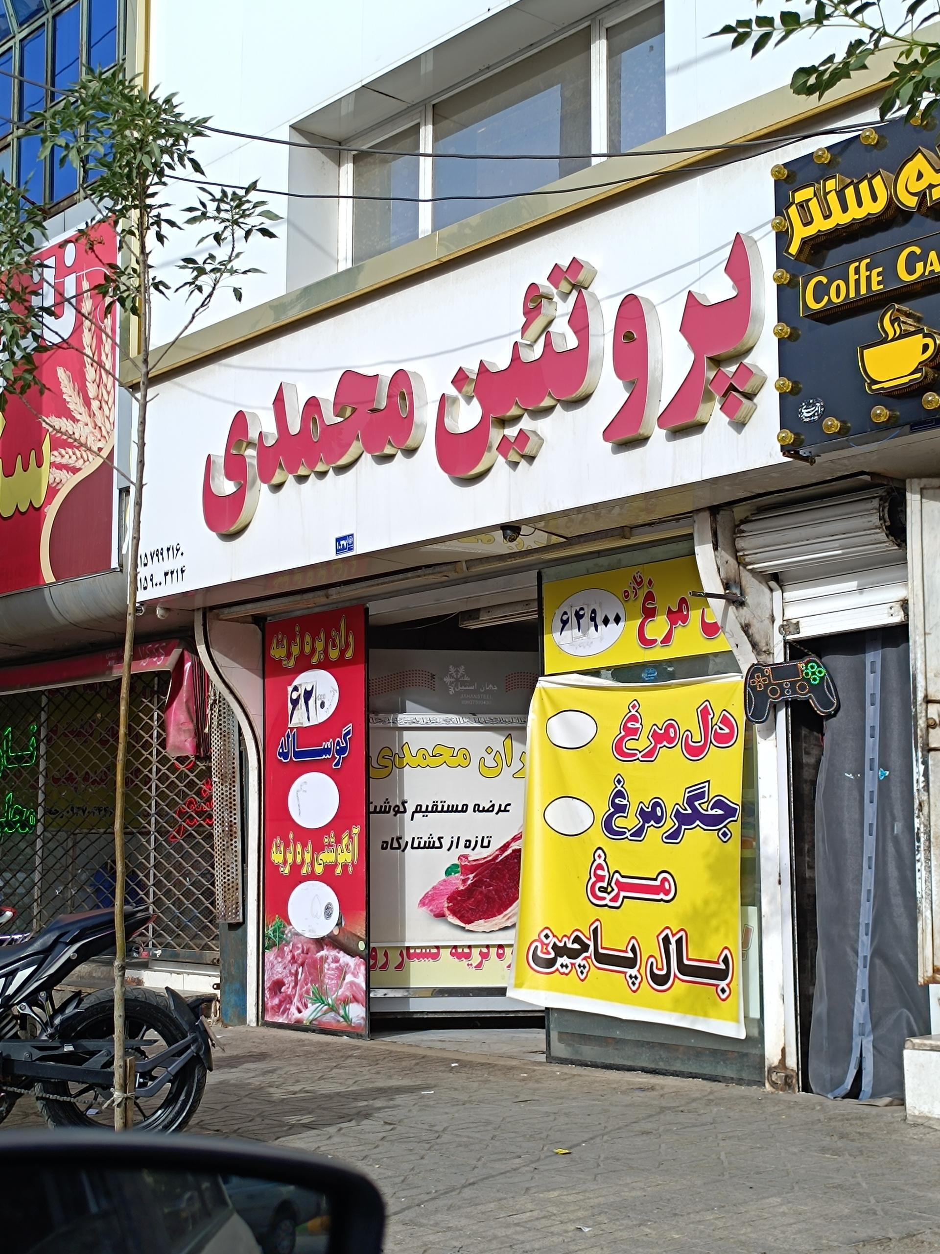 عکس پروتئین محمدی