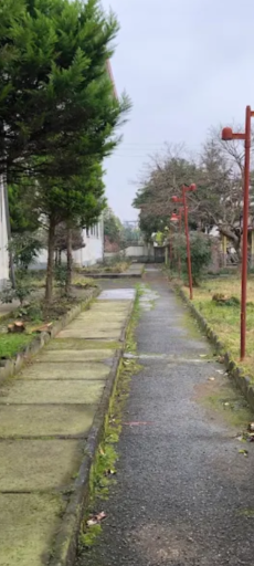 عکس مجتمع مسکونی سامان