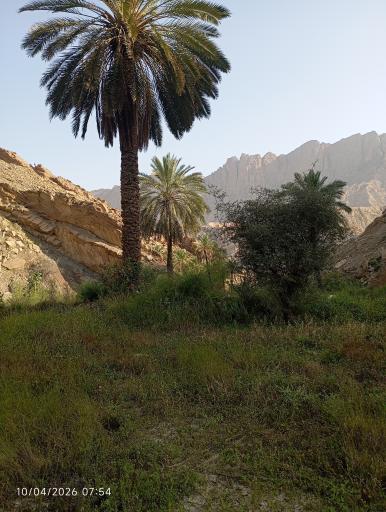 عکس اهرم