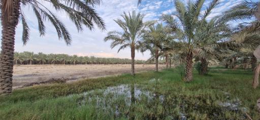 عکس اهرم